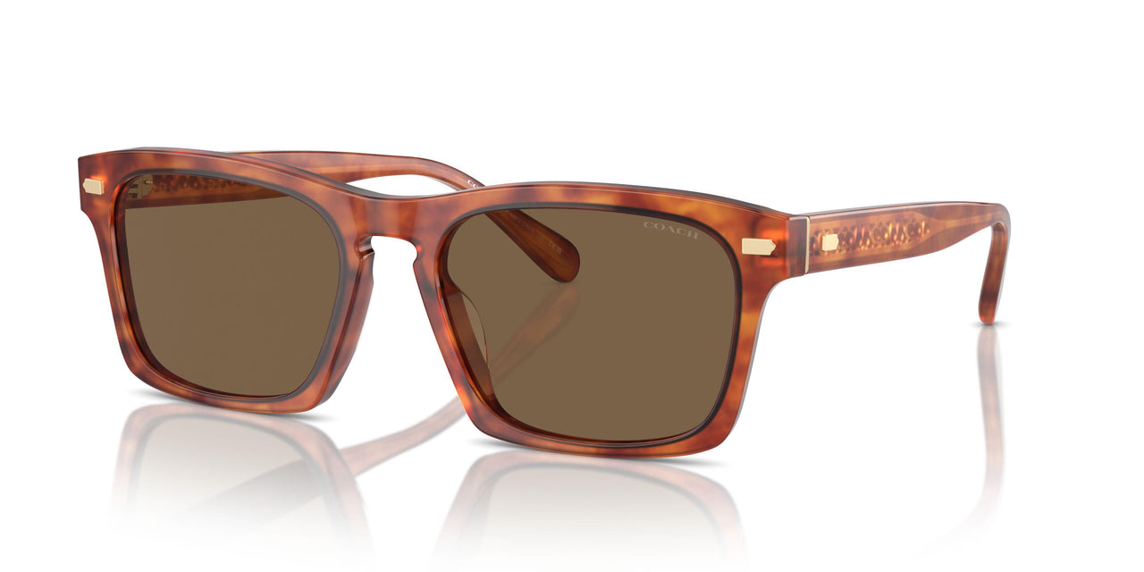 577473 - Tortoise - Brown Solid