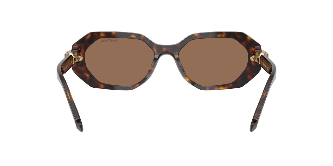 100273 - Brown - Dark Brown