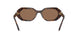 100273 - Brown - Dark Brown