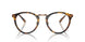 5134BF - Tortoise - Clear/blue