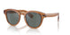 1783W5 - Brown - Regal Blue