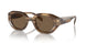 614973 - Brown - Dark Brown