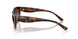 271813 - Brown - Gradient Dark Brown