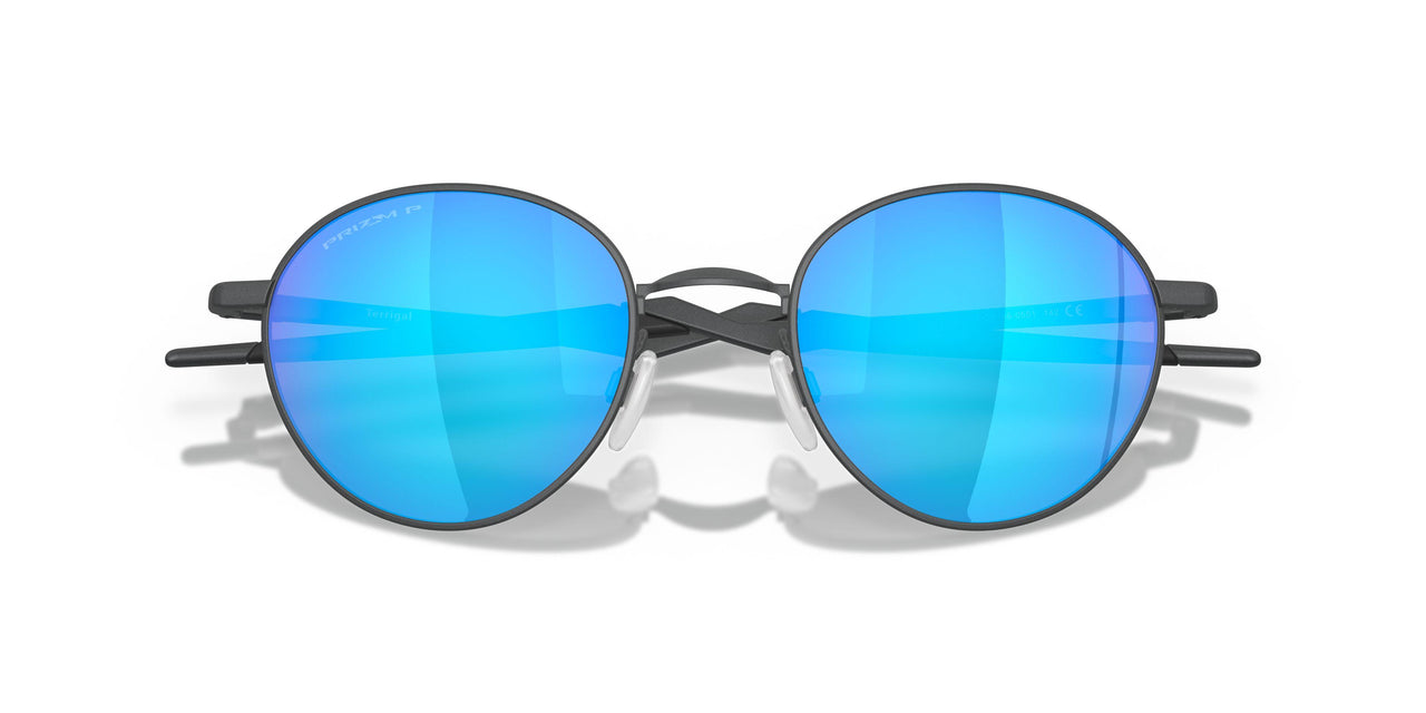 414605 - Grey - Prizm Sapphire Polarized