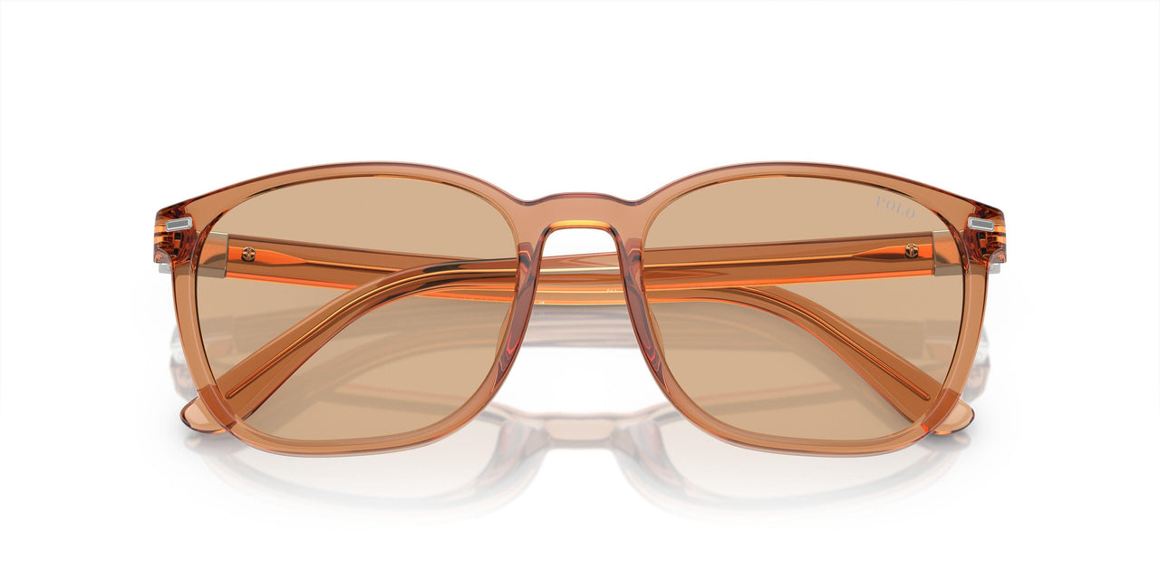 604873 - Brown - Light Brown