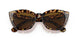 170083 - Tortoise - Brown Polarized