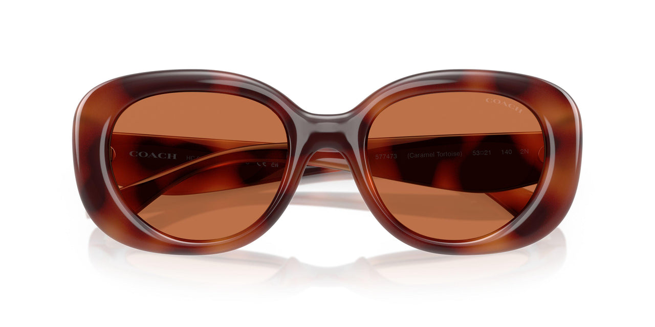 577473 - Tortoise - Brown Solid