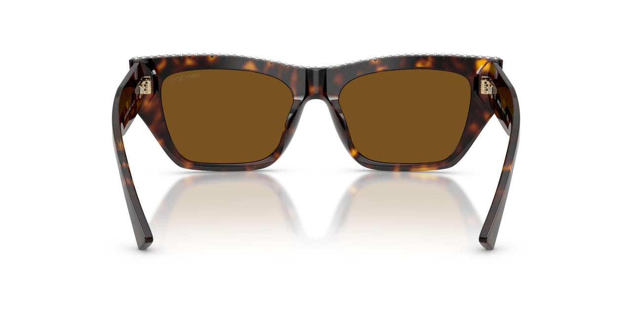 500283 - Tortoise - Dark Brown Polar