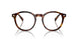 613771 - Tortoise - Bottle Green