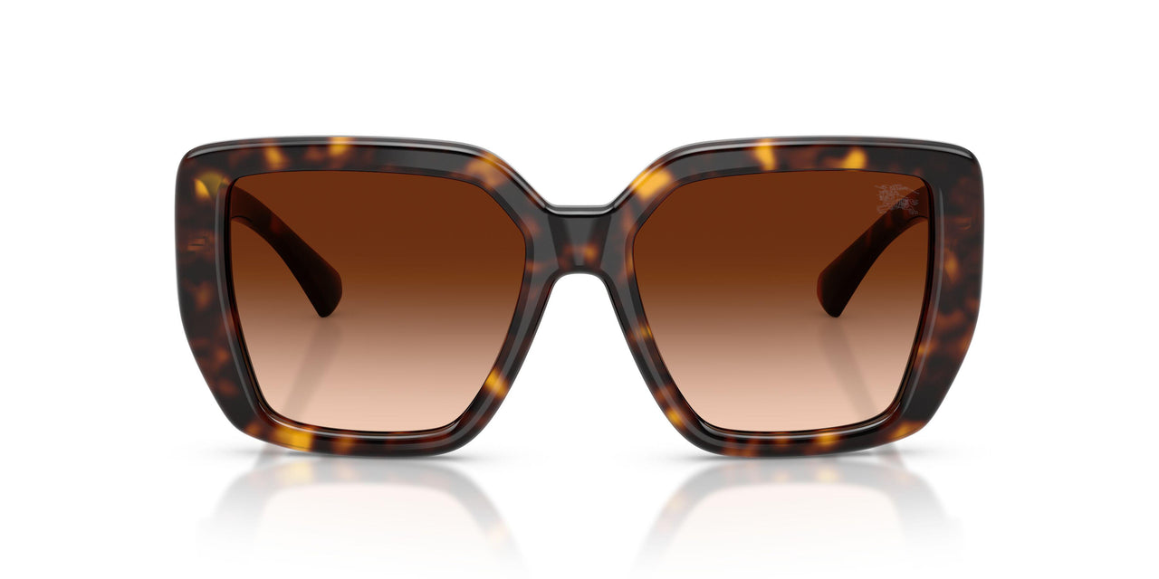 300274 - Brown - Brown Gradient