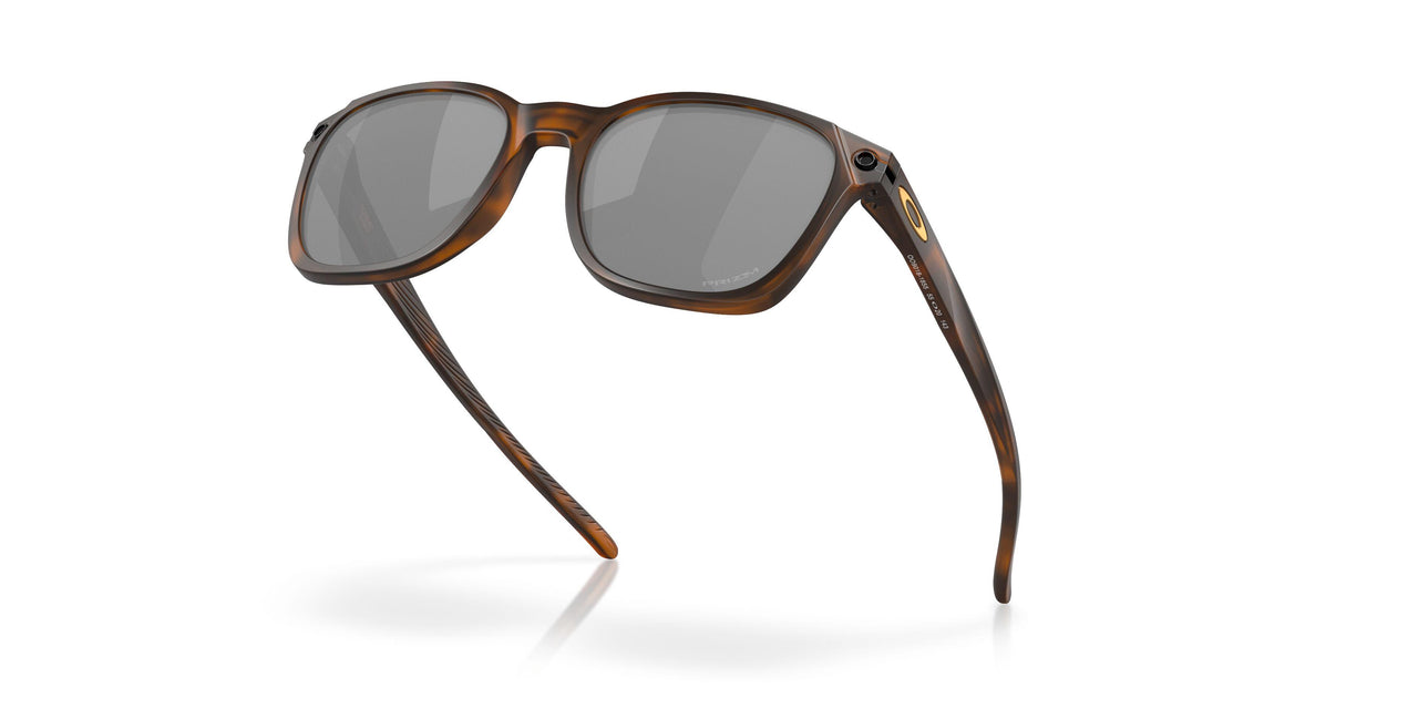 901818 - Brown - Prizm Black