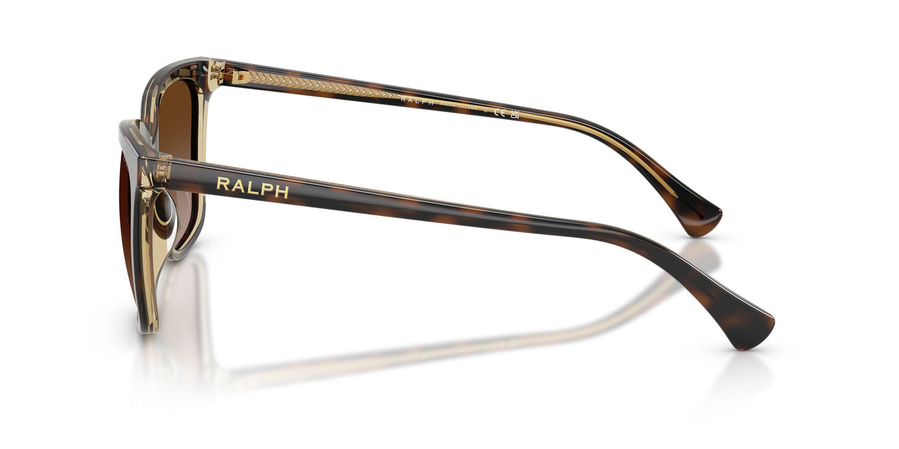 629413 - Brown - Gradient Brown