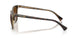 629413 - Brown - Gradient Brown