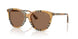 416373 - Brown - Dark Brown