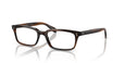 1724 - Brown / 51