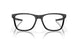 816301 - Satin Black - Clear