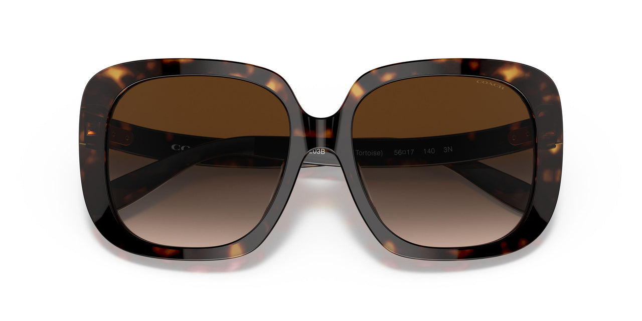 51203B - Havana - Brown Gradient