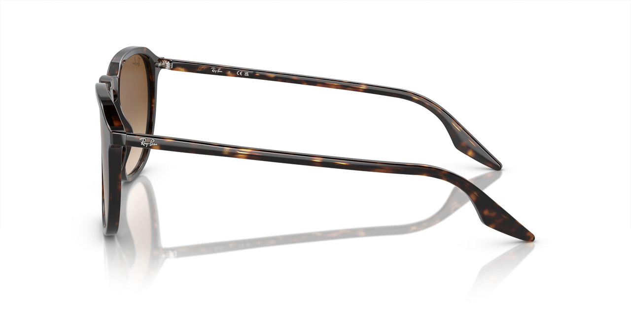 902/51 - Tortoise - Clear/brown