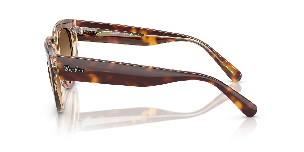 141451 - Tortoise - Clear Gradient Brown