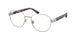 Polo 1224 Eyeglasses