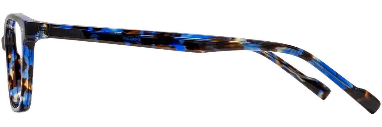 4 - Cobalt Tortoise