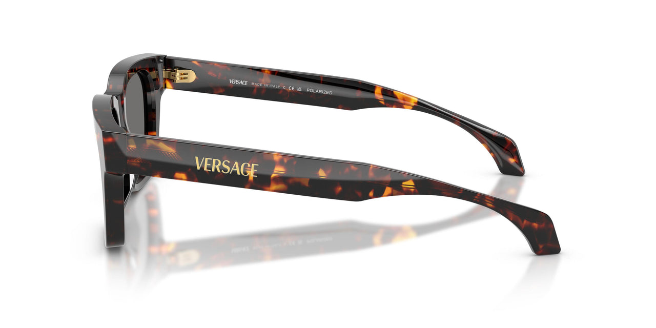 550981 - Tortoise - Dark Grey Polar
