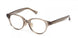 MAXMARA 5199D Eyeglasses