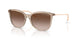 836613 - Brown - Gradient Brown