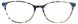 TBL - Tortoise/Blue