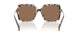 395173 - Tortoise - Brown Solid