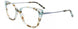 60 - Light Teal & Teal Tortoise / Satin Blue