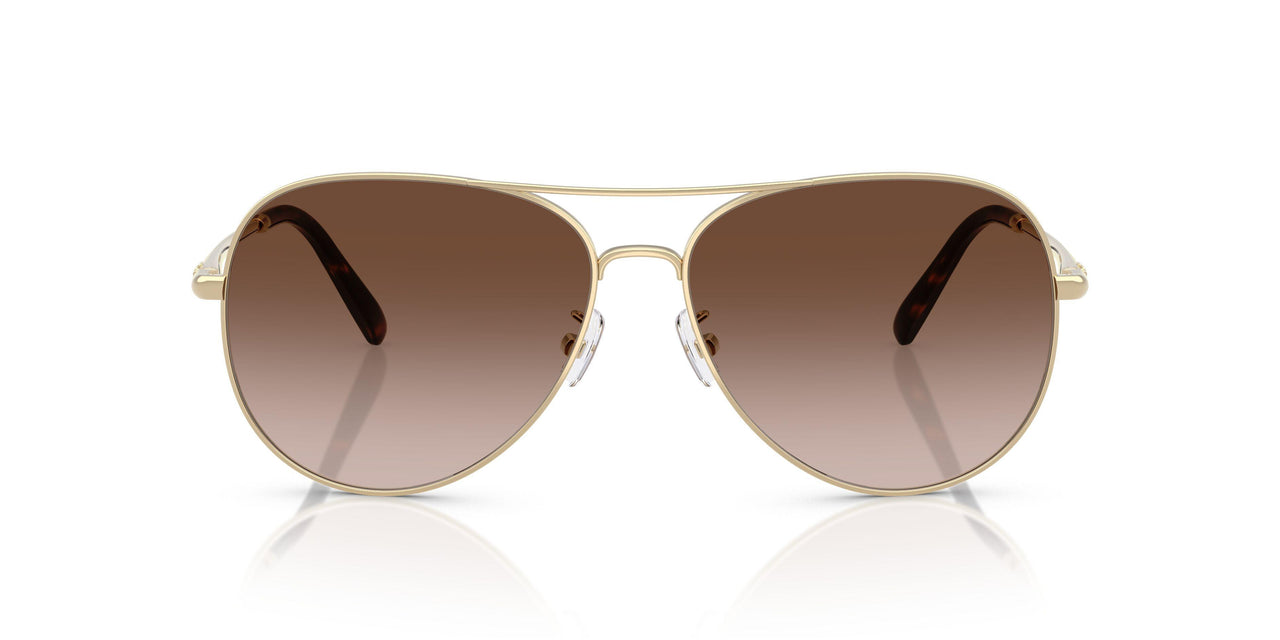 334613 - Gold - Brown Gradient