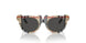 377887 - Brown - Dark Grey
