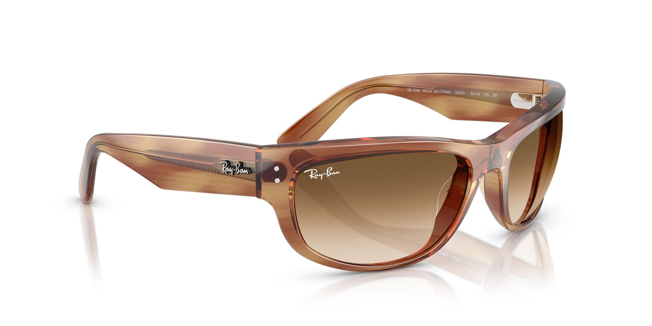 140351 - Tortoise - Clear Gradient Brown