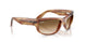 140351 - Tortoise - Clear Gradient Brown