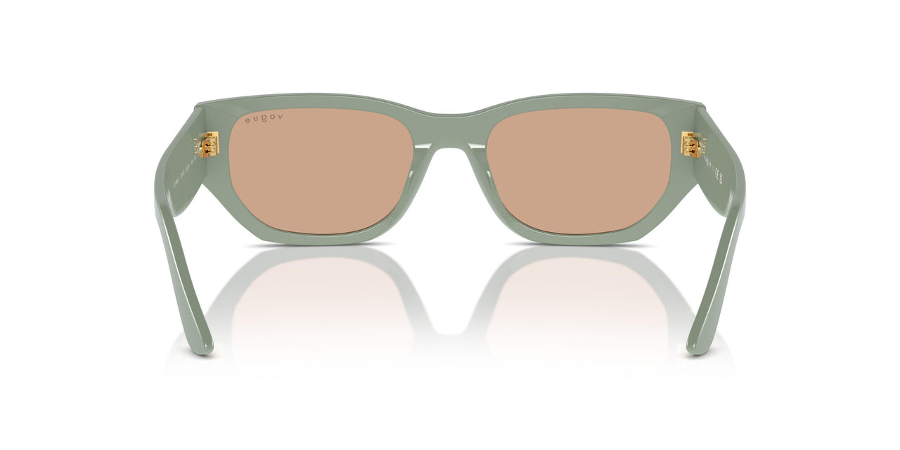 3161/3 - Green - Dark Brown