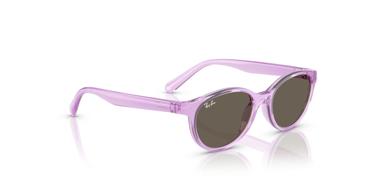 7172/3 - Violet - Brown
