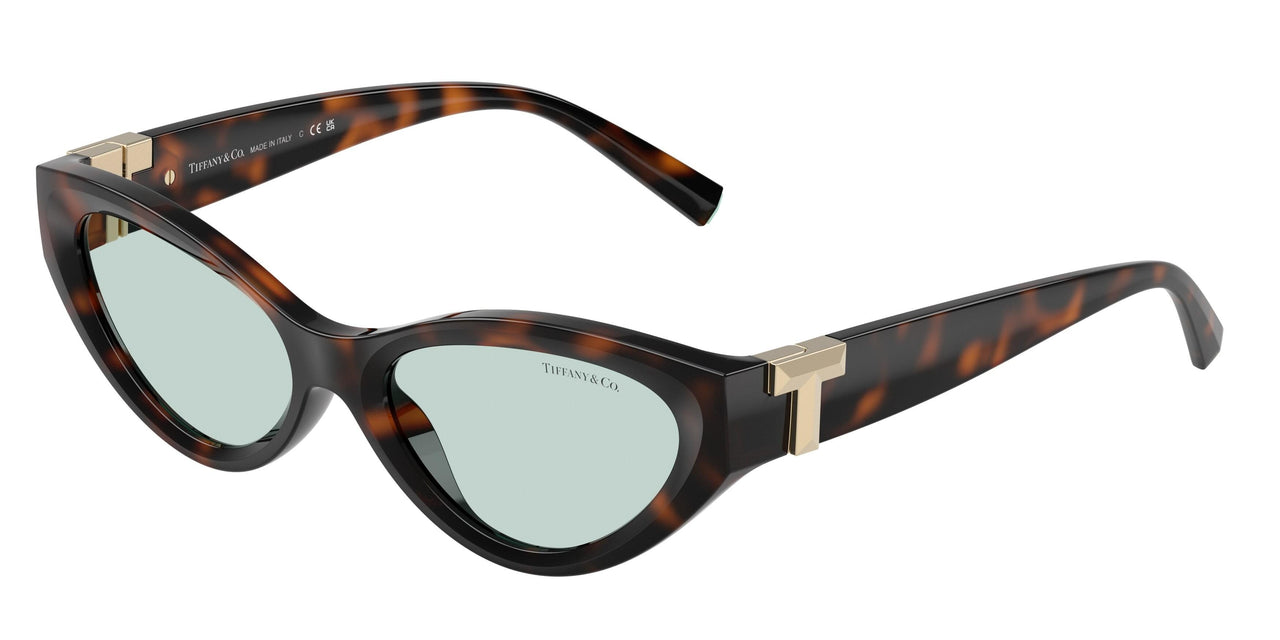 8429D9 - Tortoise - Light Azure
