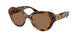 100273 - Tortoise - Dark Brown