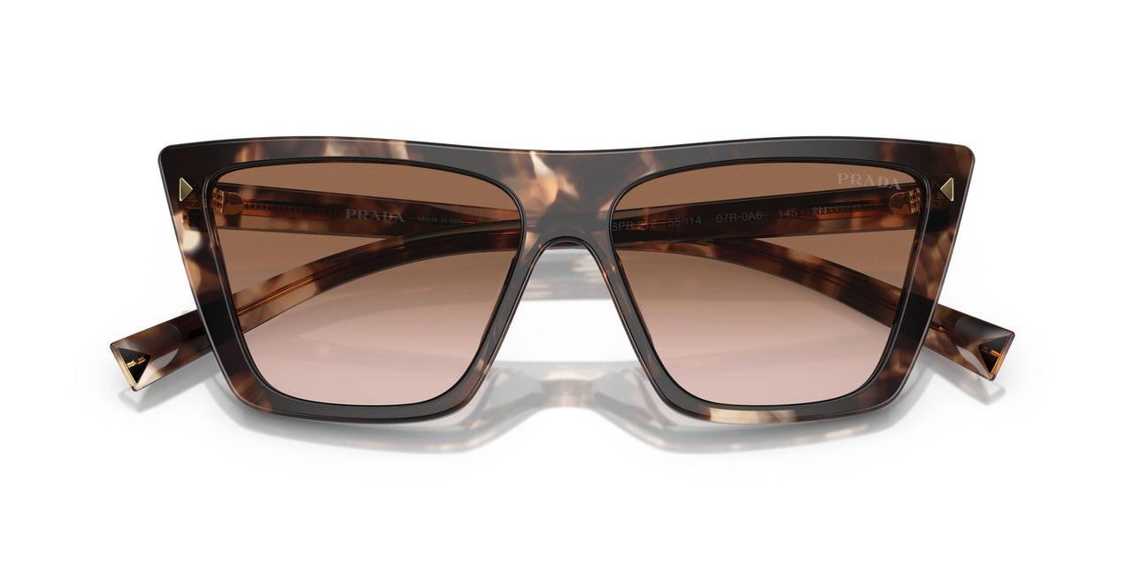 07R0A6 - Tortoise - Brown Gradient