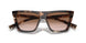 07R0A6 - Tortoise - Brown Gradient