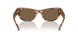 104073 - Tortoise - Dark Brown