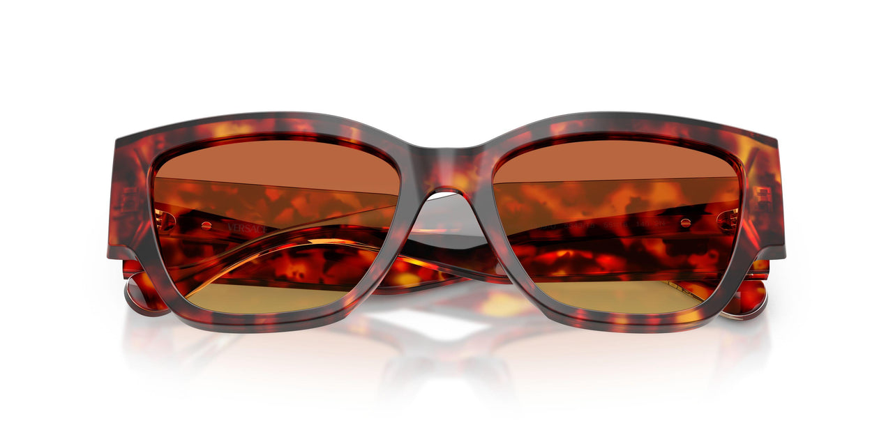 5543T5 - Tortoise - Yellow Gradient Brown