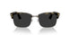 107148 - Tortoise - Polar Black