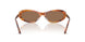 109173 - Brown - Dark Brown