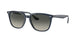 Ray-Ban 4362F Sunglasses