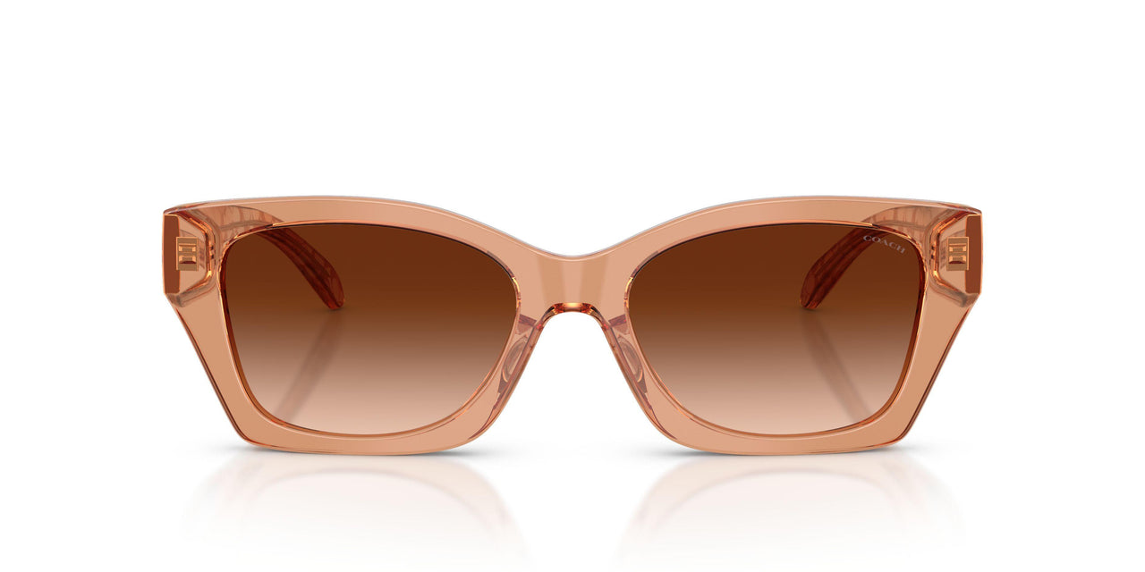 593774 - Brown - Brown Gradient
