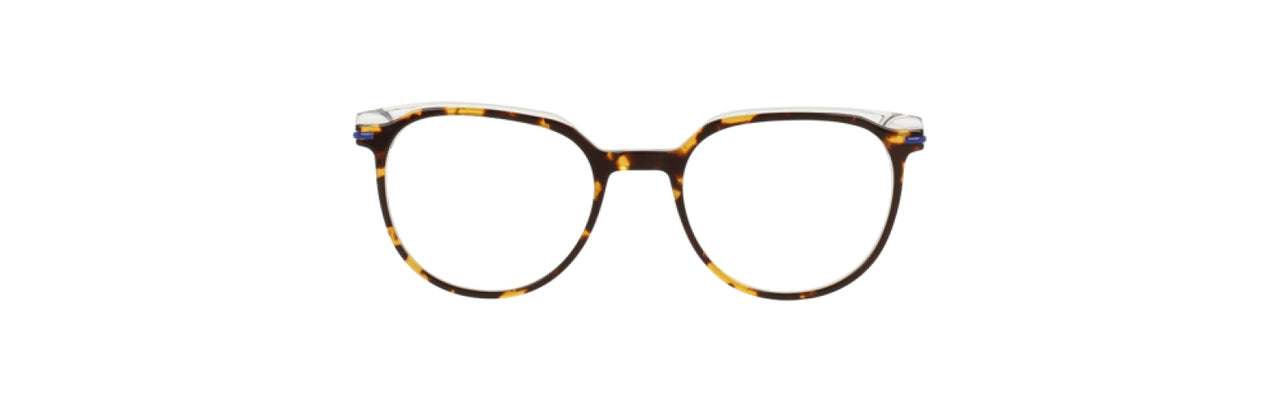 550 - Tortoise
