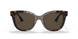 108/73 - Havana - Dark Brown