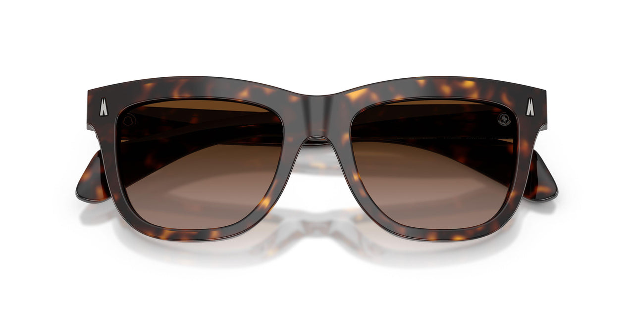 300213 - Tortoise - Gradient Brown